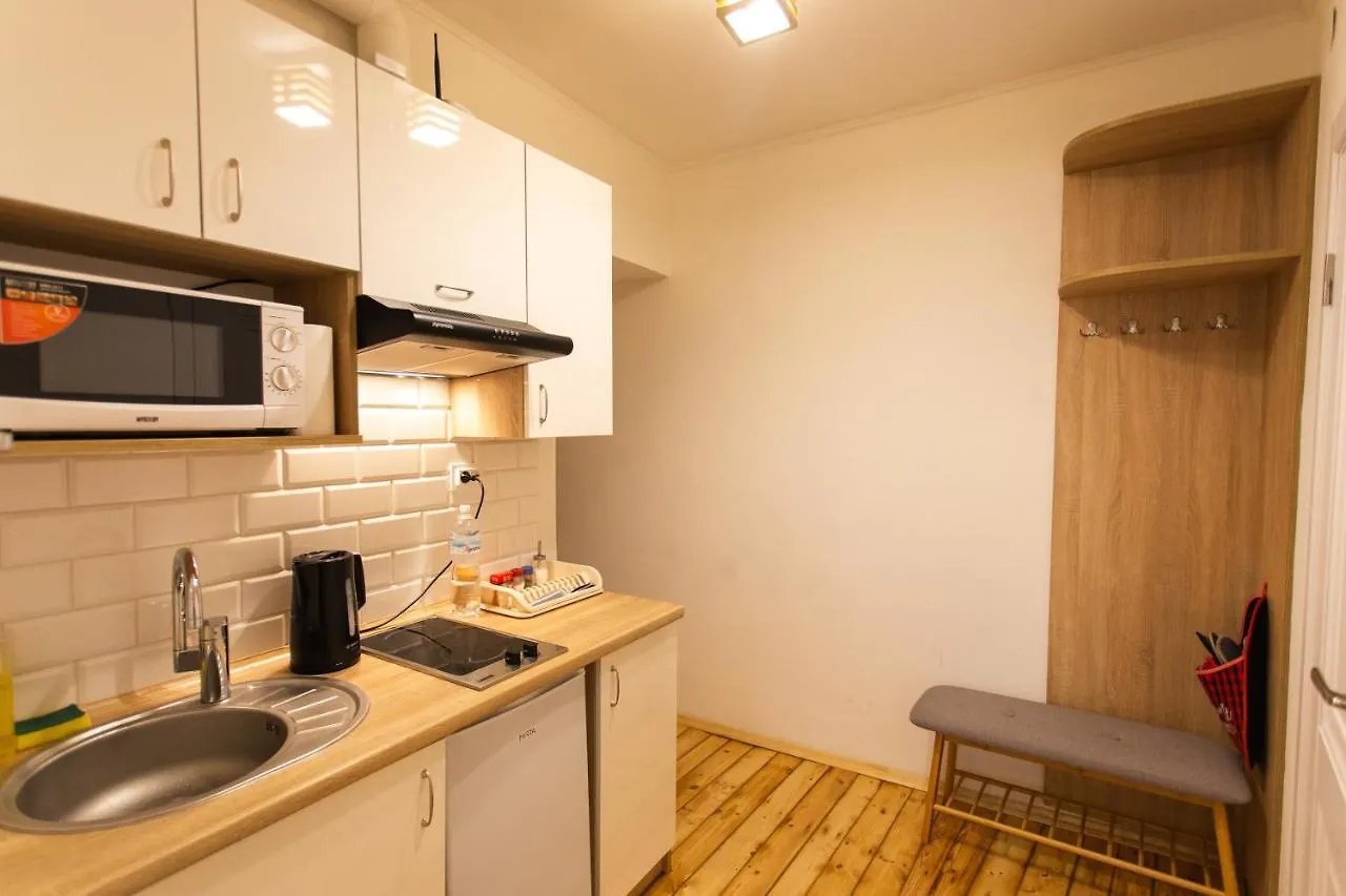 Peaceful Studio On Rynok Square Lviv