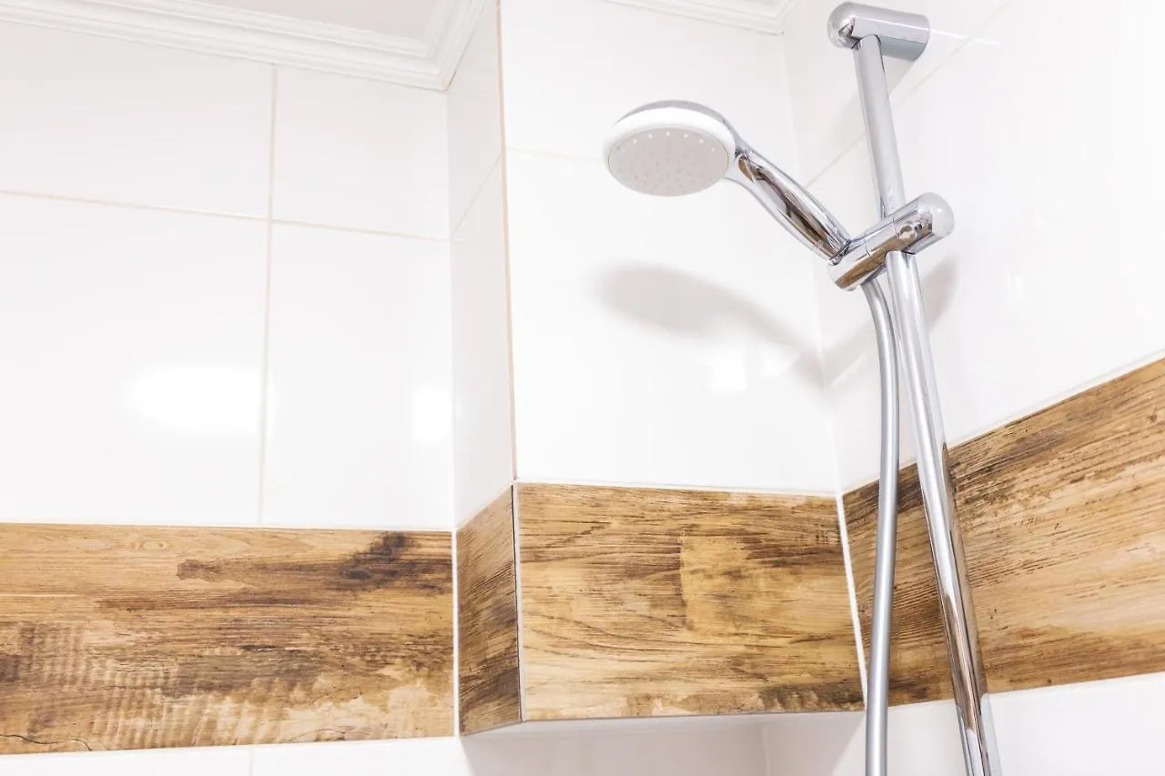 Peaceful Studio On Rynok Square Lviv Apartment
