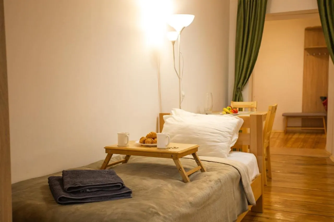 Peaceful Studio On Rynok Square Lviv Apartment